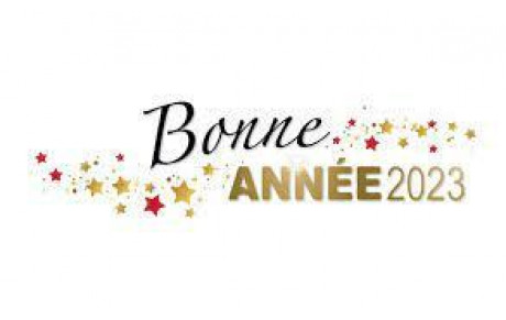 Bonne année 